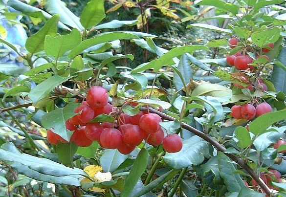 2003_10_18_b.jpg