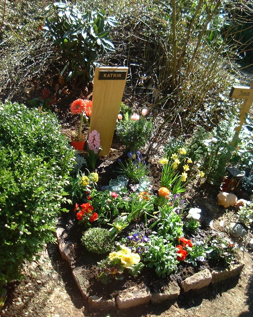 DSCF3146.JPG