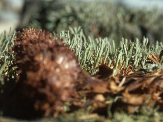 PICT0001.JPG