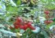 2003_10_18_b.jpg 585x403 0.0 MB