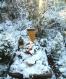 2003_12_24_03_.JPG 641x766 0.0 MB