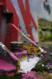 _MG_6489.JPG 512x775 0.0 MB